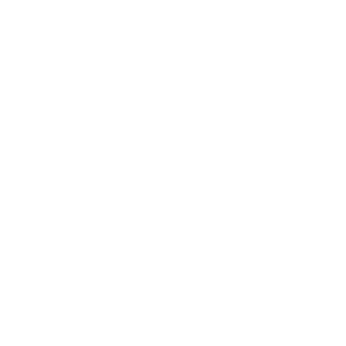 12-Month Marketing Plan