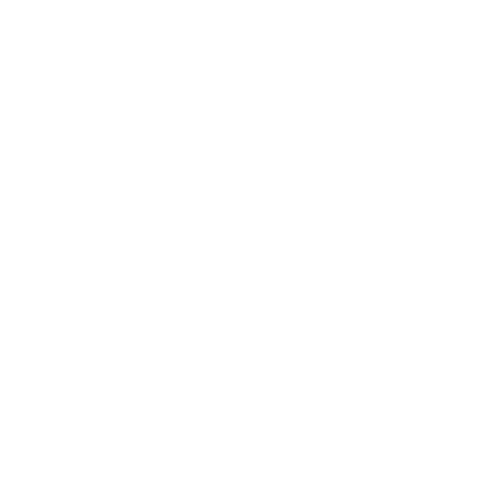 Custom Website