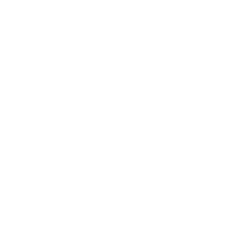 Media & File Management
